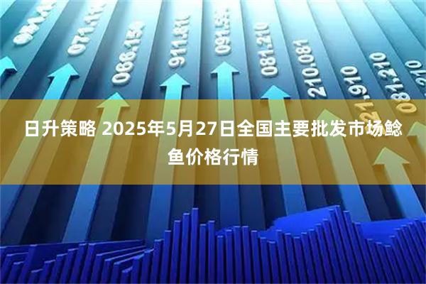 日升策略 2025年5月27日全国主要批发市场鲶鱼价格行情